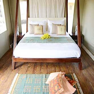 Baghtola, Bandhavgarh 3